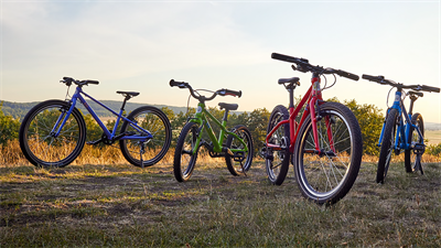 Fahrrad-Vii-Bikes-Image