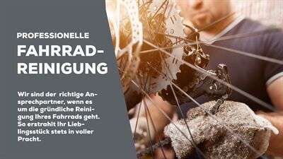 Fahrrad-Reinigung