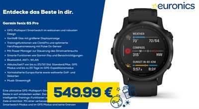 Garmin Fenix 6S Pro