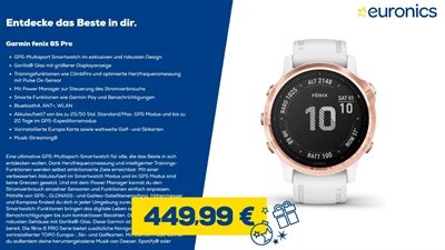 Garmin fenix 6S Pro weiß