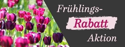 Aktionsbanner 3_L